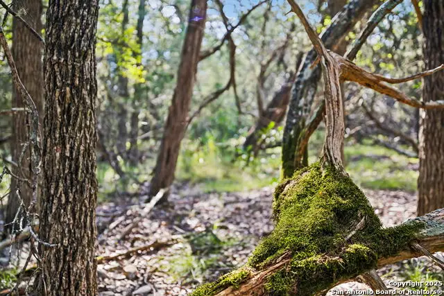 00 County Road 260 W, Mico, TX 78056 - Image #3