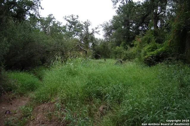 634 West, Batesville, TX 78829 - Image #3