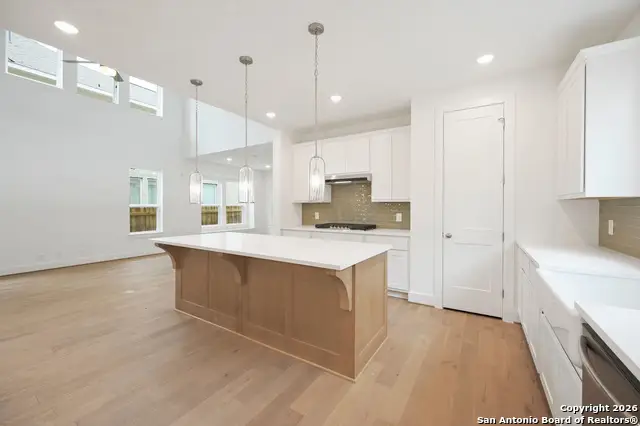 12317 Goulding, San Antonio, TX 78254 - #2