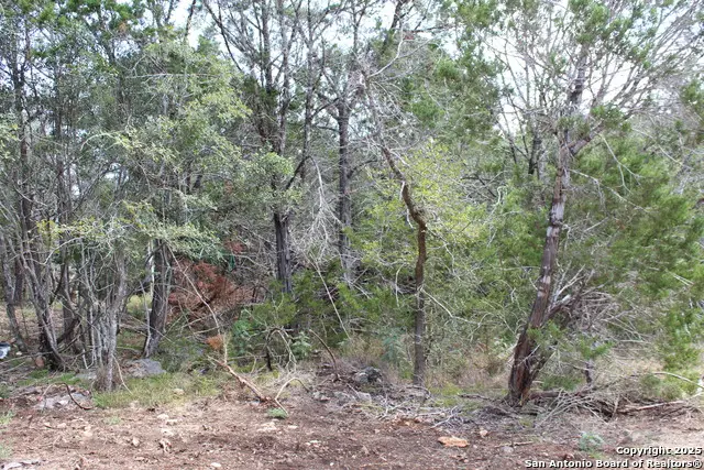 151 Eden Ranch, Canyon Lake, TX 78133 - Image #3