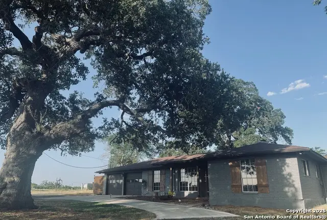 3010 Triple Tree, China Grove, TX 78263 - Image #3