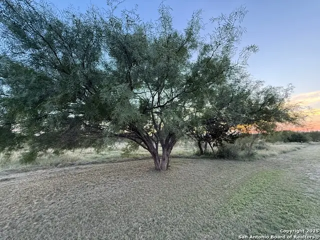 2 Cardinal Drive, Camp Wood, TX 78833 - Image #3