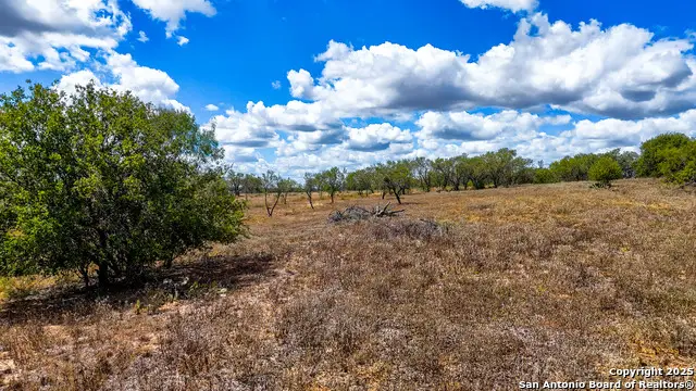 780 Cr 315, Stockdale, TX 78160 - Image #1
