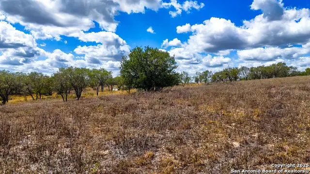 780 Cr 315, Stockdale, TX 78160 - Image #3