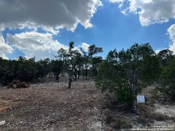 320 Lexington Pass, Canyon Lake, TX 78133