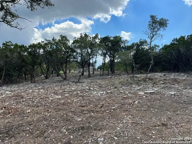 320 Lexington Pass, Canyon Lake, TX 78133 - #3