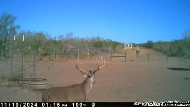 TR 123 Triple T-bar-l Rch, Freer, TX 78341 - Image #1