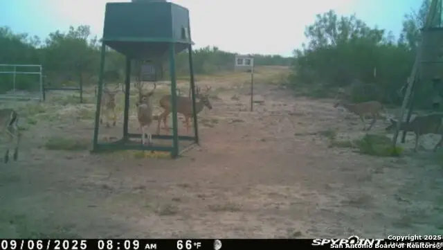 TR 123 Triple T-bar-l Rch, Freer, TX 78341 - Image #2