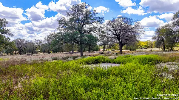 141 Oak Hill, La Vernia, TX 78121