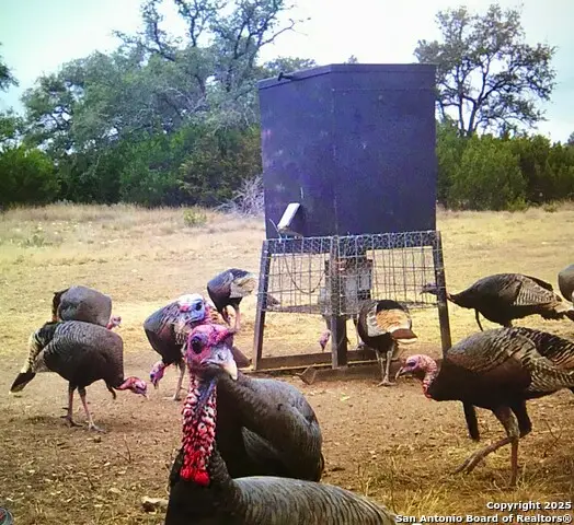 1900 Pr 2224, Sonora, TX 76950 - Image #3