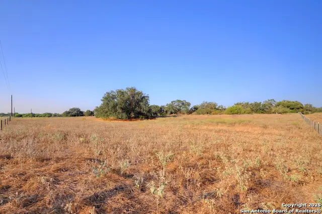 353 Pr Dax, Pleasanton, TX 78064 - Image #2