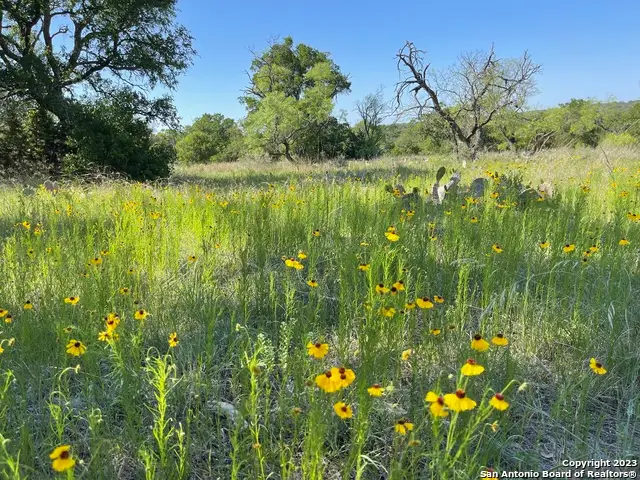 101 Whitetail, San Saba, TX 76877 - Image #1