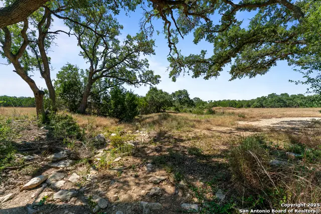 1131 Adyson Ridge, Bulverde, TX 78163 - Image #3