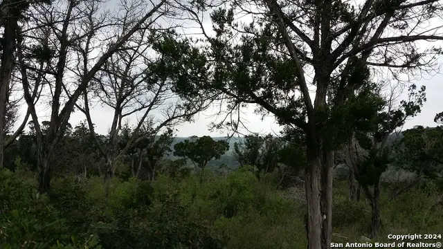 220 Private Road 1717, Mico, TX 78056 - Image #1