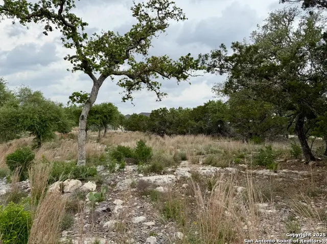 1869 Paradise Pkwy, Canyon Lake, TX 78133 - Image #3