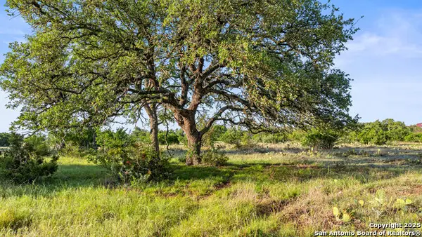 LOT 4 Vista Ridge, Round Mountain, TX 78663