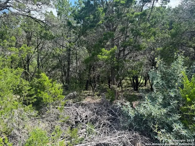 2652 Dead Poacher, Bandera, TX 78003 - Image #3