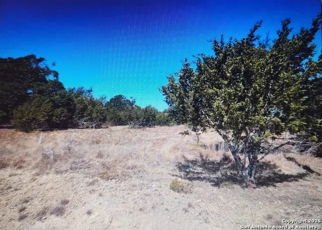 711 John Price, Blanco, TX 78606 - Image #2