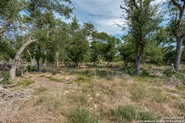 711 Vista Springs, Spring Branch, TX 78070 - Image #2