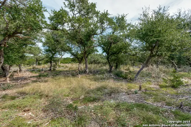 711 Vista Springs, Spring Branch, TX 78070 - Image #3