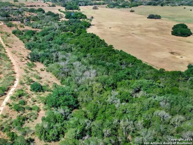 1814 State Highway 123 S, Stockdale, TX 78160 - Image #3