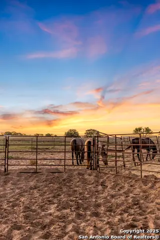 14453 Fm 472, Devine, TX 78016 - Image #2