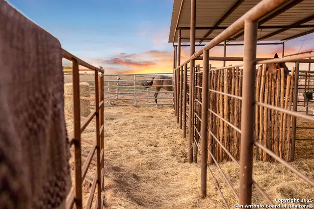 14453 Fm 472, Devine, TX 78016 - Image #3