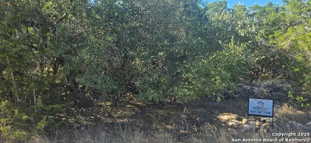 716 Line Camp Rd, Spring Branch, TX 78070 - #1