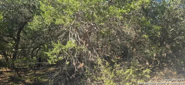 716 Line Camp Rd, Spring Branch, TX 78070 - #2