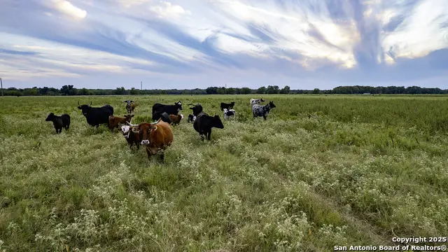 25119 Us Highway 287, Athens, TX 75751 - Image #3