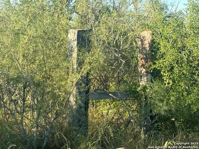 836 Camino Don Antonio, Laredo, TX 78043 - Image #3