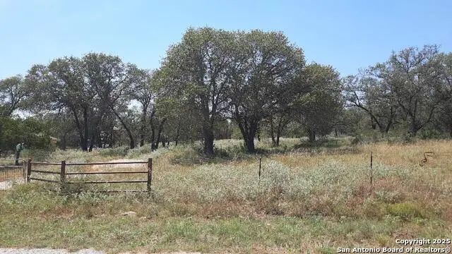 327 County Road 6875, Natalia, TX 78059 - Image #3