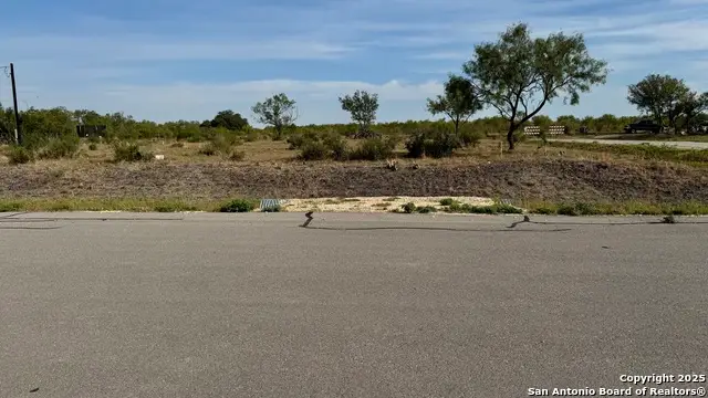 295 Lobo, Hondo, TX 78861 - Image #1