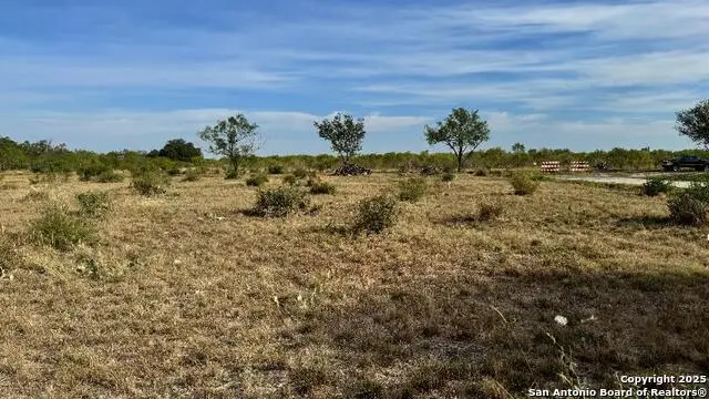 295 Lobo, Hondo, TX 78861 - Image #2
