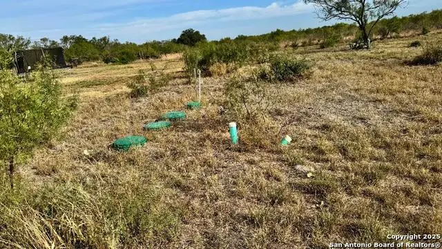 295 Lobo, Hondo, TX 78861 - Image #3