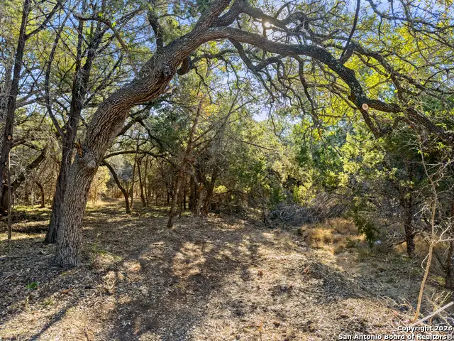 2095 Desiree Street, Canyon Lake, TX 78133 - #1