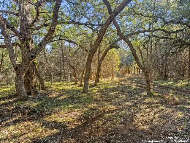 2095 Desiree Street, Canyon Lake, TX 78133 - #2