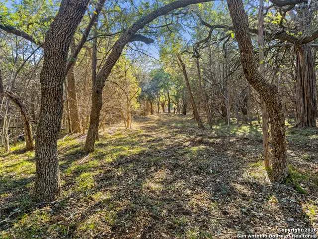 2095 Desiree Street, Canyon Lake, TX 78133 - #3