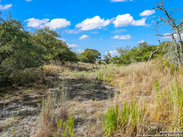 914 Swallows Ln, Seguin, TX 78155 - Image #2