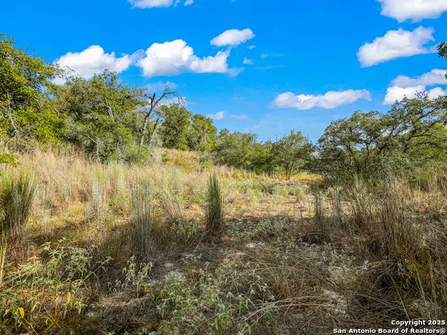 914 Swallows Ln, Seguin, TX 78155 - Image #3