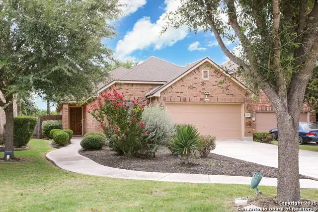 11006 Colt, San Antonio, TX 78254 - Image #2