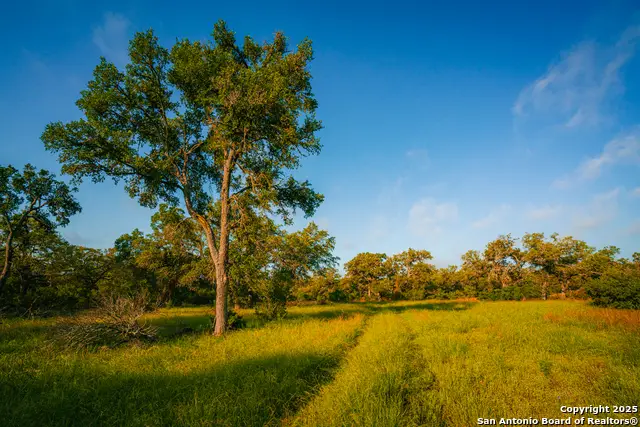 000 Lone Oak Hollow, Spring Branch, TX 78070 - Image #1