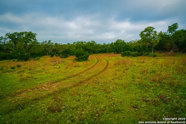 000 Lone Oak Hollow, Spring Branch, TX 78070 - Image #3