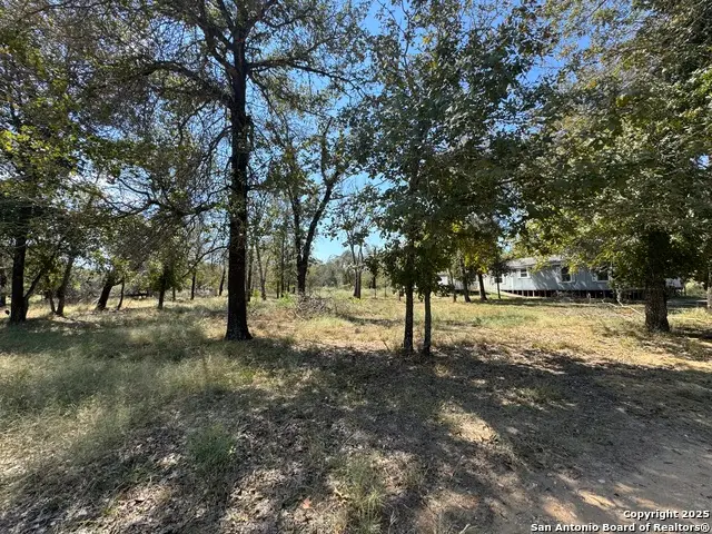 159 County Road 6768, Natalia, TX 78059 - Image #2