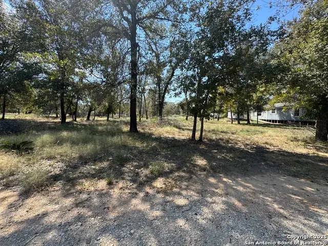 159 County Road 6768, Natalia, TX 78059 - Image #3