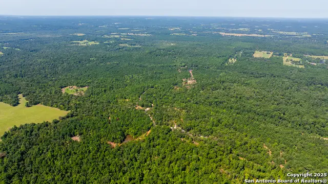 554 Vz County Road 4815, Chandler, TX 75758 - Image #2