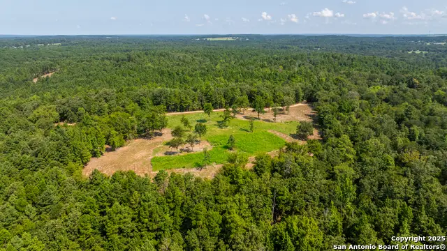 554 Vz County Road 4815, Chandler, TX 75758 - Image #3