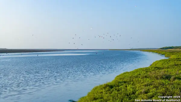 1118 County Road 2220e, Kingsville, TX 78363