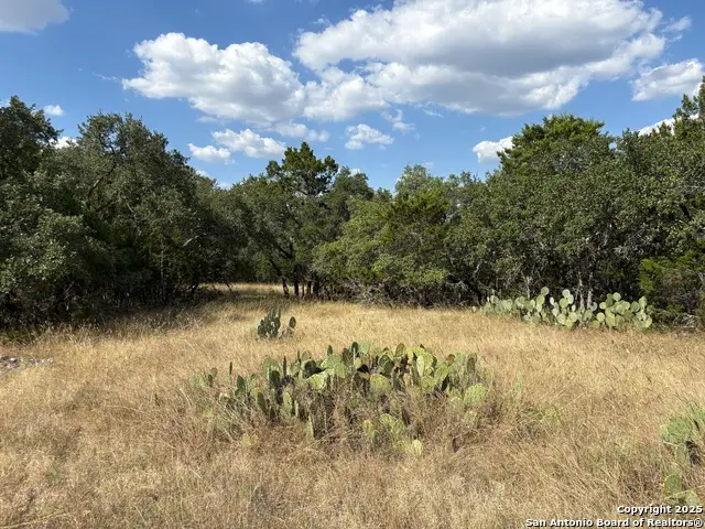 LOT 381 Palomino Springs, Bandera, TX 78003 - Image #3
