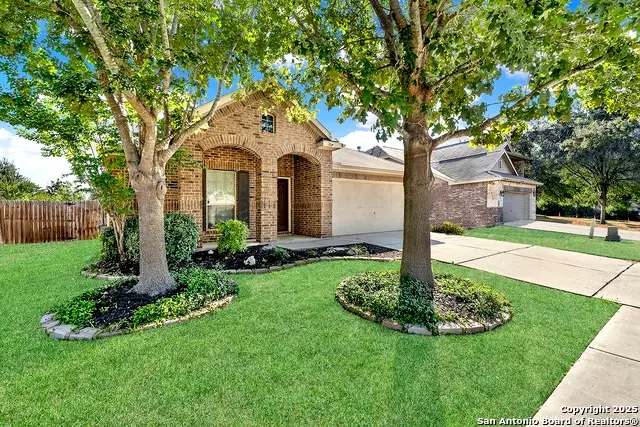 3157 Pencil Cholla, Schertz, TX 78154 - Image #3